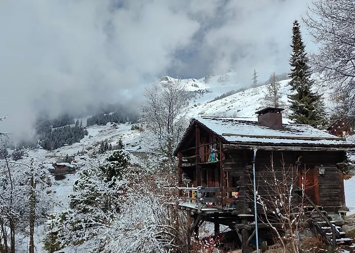 Mazot De L' Arche De Noe * Verbier