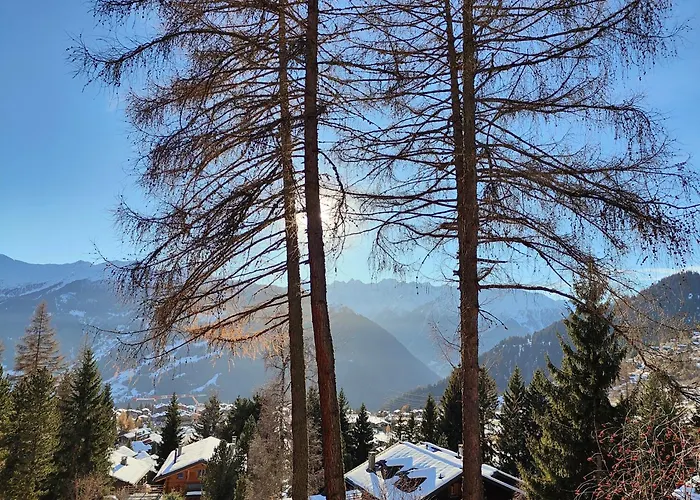 Mazot De L' Arche De Noe Chalé