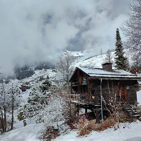 Mazot De L' Arche De Noé * Verbier