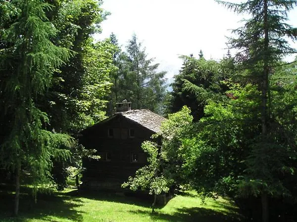 Mazot De L' Arche De Noe *